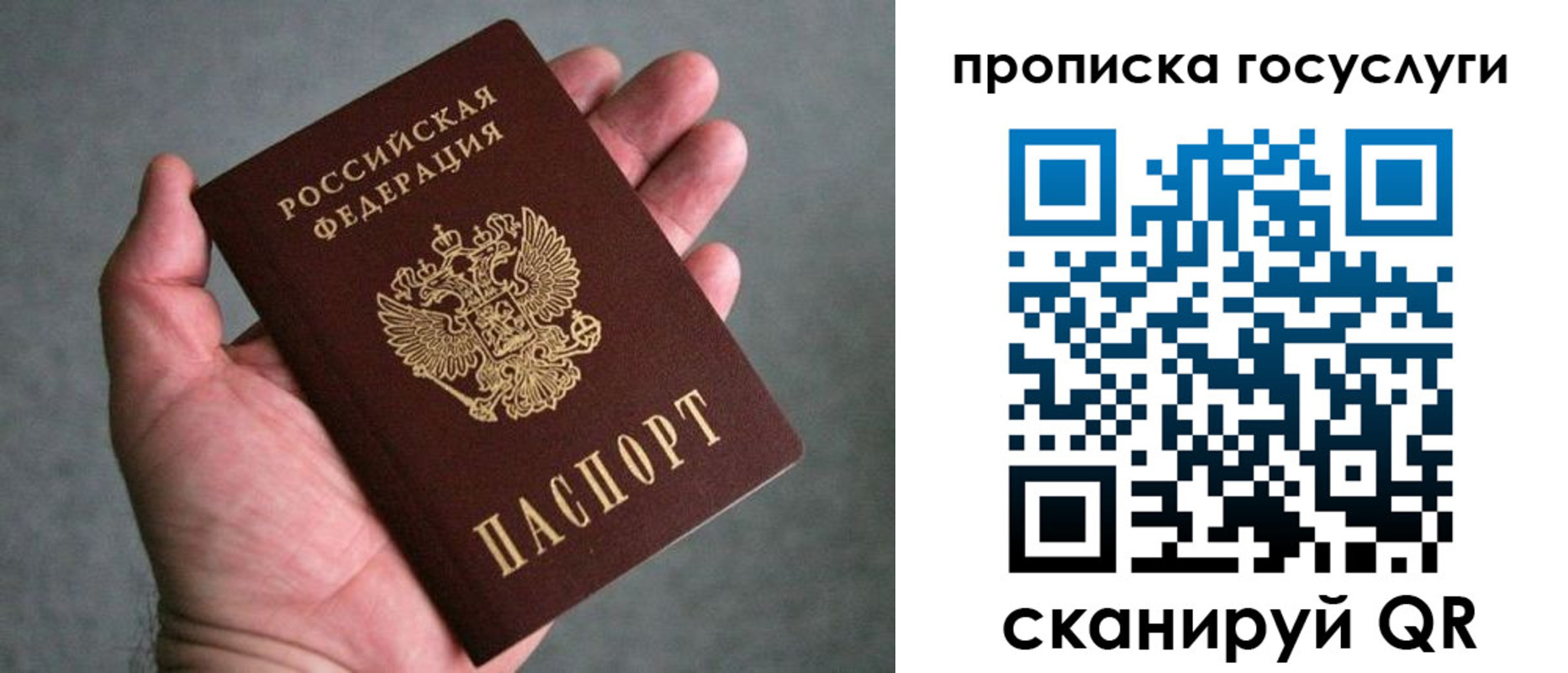 прописка 2025 в Вольске
